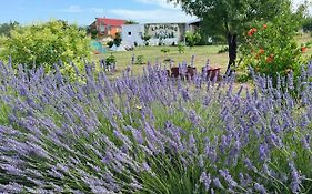 Camping Laste